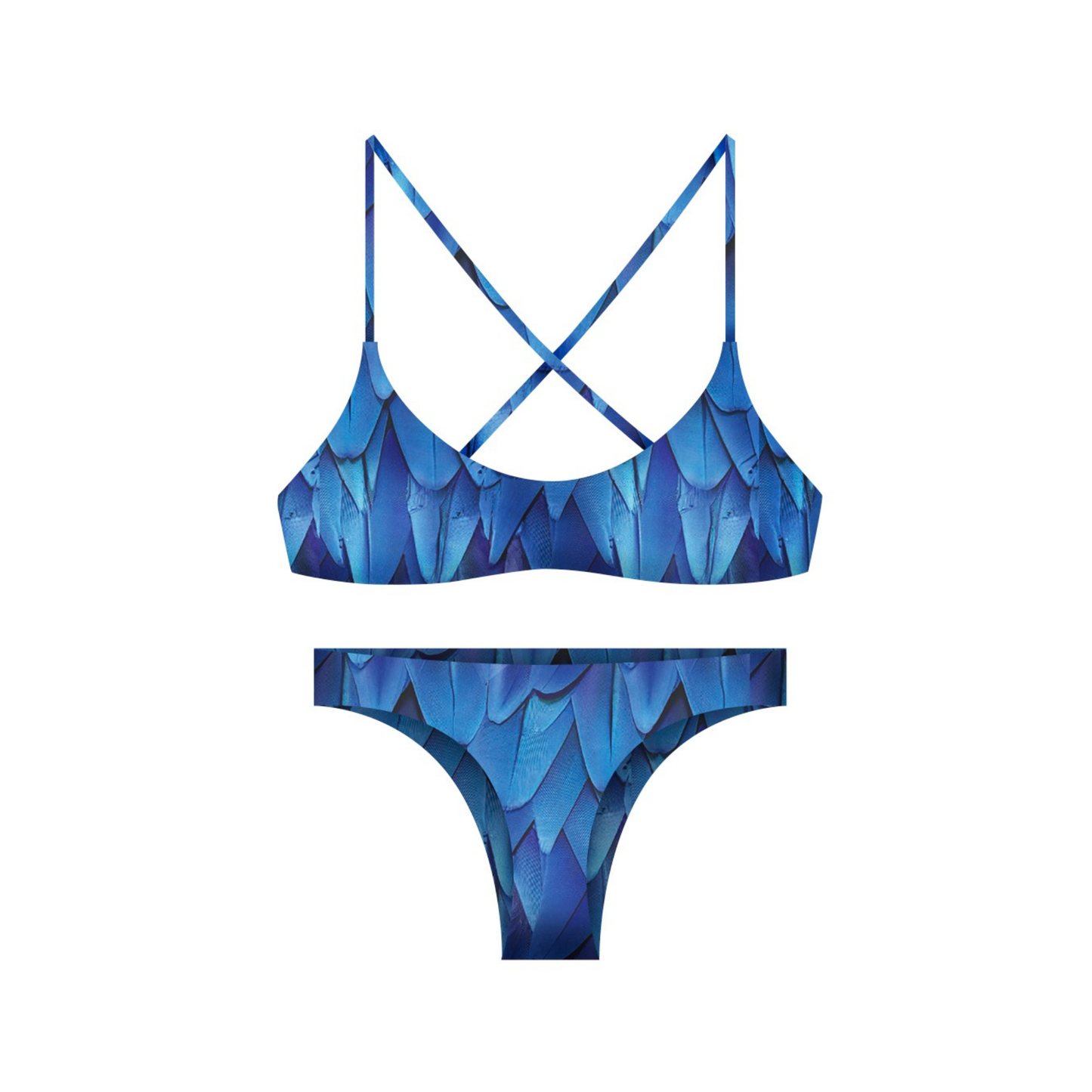 Sialia · Bottom